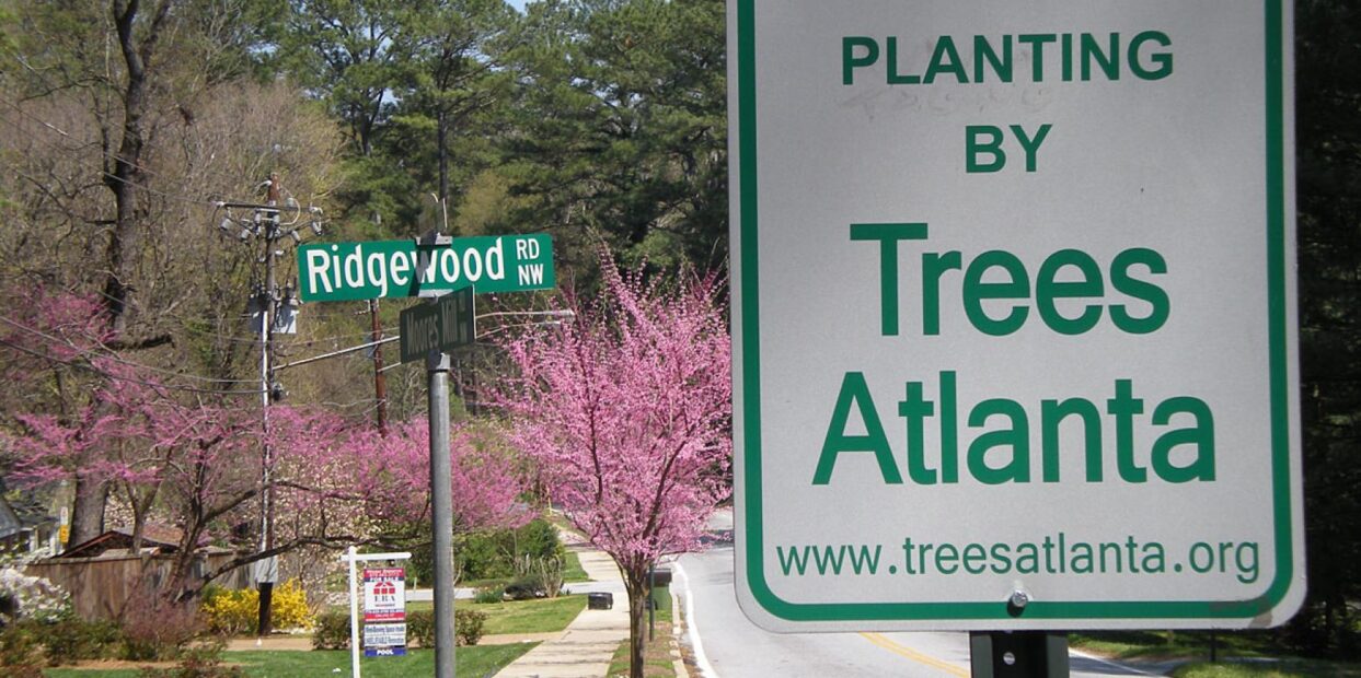 Trees Atlanta announcement